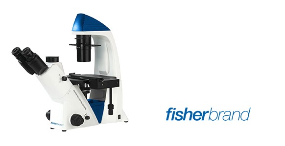 fisherbrand-request-microscope-demo-inset-19-0325 Fisherbrand Microscopes