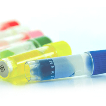chemicals-06-20-418-1867 Get a Chromatography Column Filter with HPLC Column Purchase