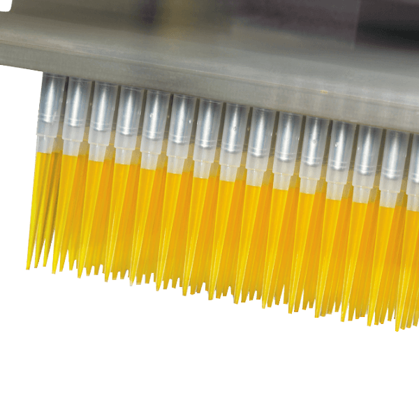 Get 1 Case of PCR Microplates with Purchase